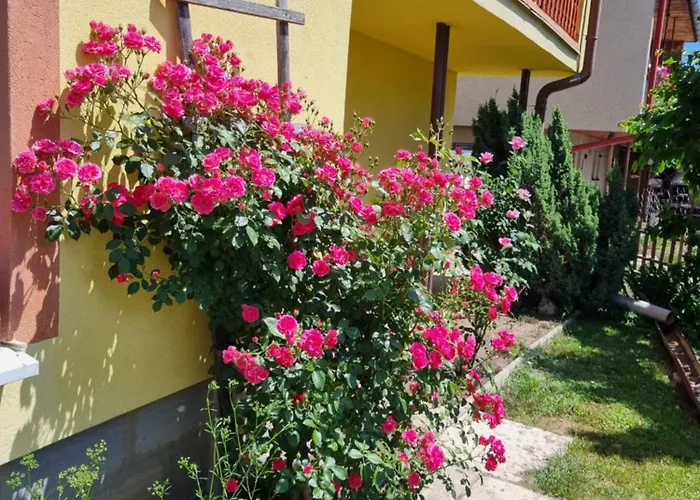 Appartement Privat Horec *